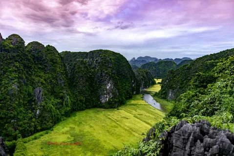 Video ngắn – Giải pháp truyền thông thông minh cho doanh nghiệp nhỏ_Xu hướng tiếp thị kỹ thuật số 2025