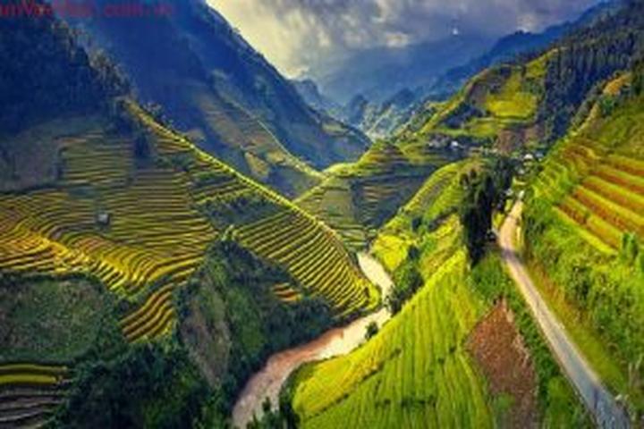 Video ngắn – Giải pháp truyền thông thông minh cho doanh nghiệp nhỏ