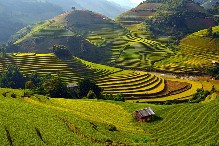 Cách Khởi Nghiệp Kiếm Tiền Bán Thời Gian Dành Cho Người Mới