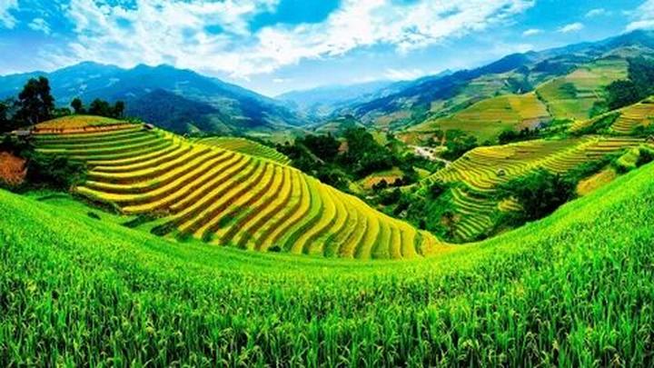 Cách Khởi Nghiệp Kiếm Tiền Bán Thời Gian Dành Cho Người Mới