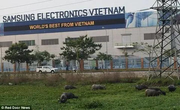 Hotspot Matrix và Gái Pháp mê tít 2 kiểu váy xinh như thơ, diện từ hè năm này sang năm